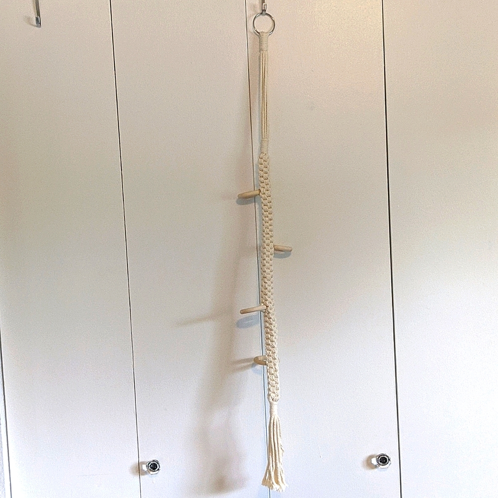 Air plant holder